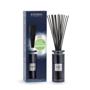Difuzor Parfum Ceai Alb&Ylang Ylang 75ml