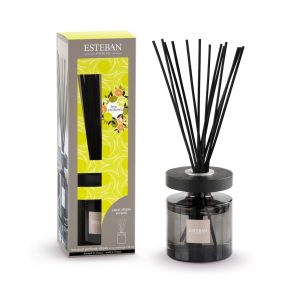 Difuzor Parfum Ellipse Terre D'agrum&Rezerva 150ml