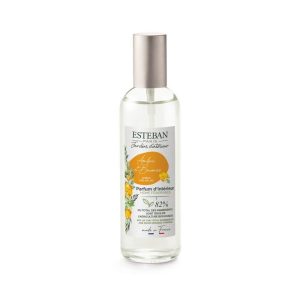 Spray Camera 100ml Amber&Balms
