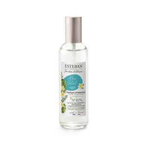 Spray Camera 100ml Sunshine Monoi