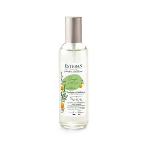Spray Camera 100ml Orange&Green Tea