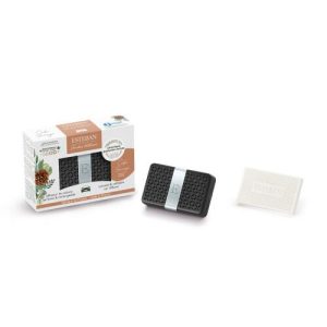 Difuzor parfum masina Wild Cedar