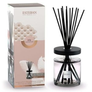 Difuzor Parfum Ellipse Iris Cachemire 500ml