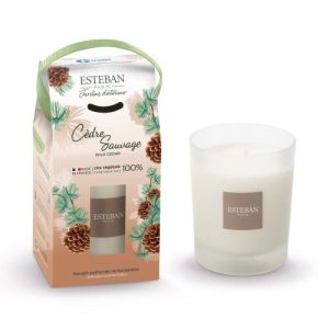 Lumanare parfumata Take-Away 180g Wild Cedar