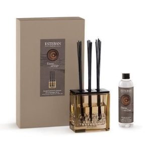 Difuzor parfum Ebene et Cuir cu Rezerva de 250m - Esteban Paris