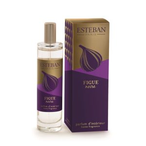 Spray Camera 100ml Figue Noire