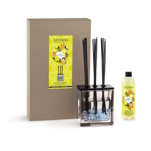 Difuzor Parfum Terre D'Agrumes&Rezerva 250ml