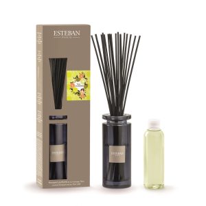Difuzor Parfum Terre D'Agrumes&Rezerva 75ml