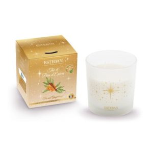 Lumanare Parfumata Ceai si turta dulce 450g